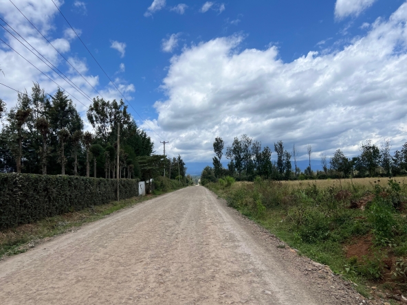 1 Acre Land and plots for sale in Nanyuki - Ladva Realtors (4)