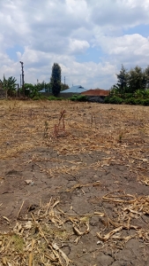 Prime ½ Acre land for sale in Kabati Murang'a County-- Ladva Realtors(1)