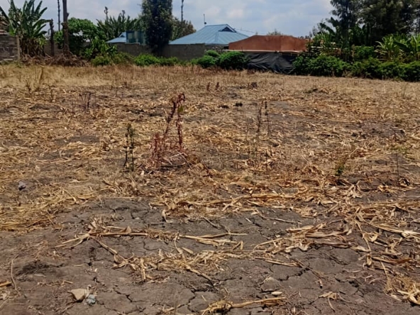 Prime ½ Acre land for sale in Kabati Murang'a County-- Ladva Realtors(1)