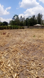 Prime ½ Acre land for sale in Kabati Murang'a County-- Ladva Realtors(1)