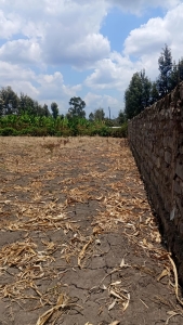 Prime ½ Acre land for sale in Kabati Murang'a County-- Ladva Realtors(1)