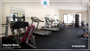 Modern 2-Bedroom Apartments & Duplexes To Let in Nairobi, Kenya (1)