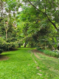 Prime 1 Acre Land and plots for Sale in Kilimani, Nairobi-Ladva Realtors (1)