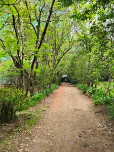 Prime 1 Acre Land and plots for Sale in Kilimani, Nairobi-Ladva Realtors (1)