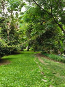 Prime 1 Acre Land and plots for Sale in Kilimani, Nairobi-Ladva Realtors (1)