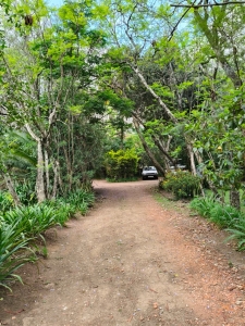 Prime 1 Acre Land and plots for Sale in Kilimani, Nairobi-Ladva Realtors (1)