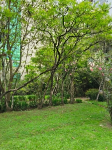 Prime 1 Acre Land and plots for Sale in Kilimani, Nairobi-Ladva Realtors (1)