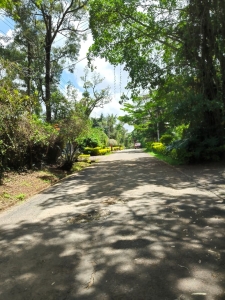 Prime 1-acre land and plots for sale in Riverside Drive, Nairob-Ladva Realtors (1)