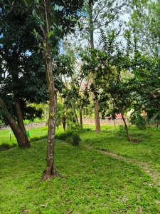 Prime 1-acre land and plots for sale in Riverside Drive, Nairob-Ladva Realtors (1)