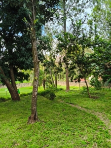 Prime 1-acre land and plots for sale in Riverside Drive, Nairob-Ladva Realtors (1)