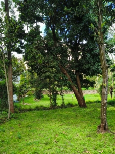 Prime 1-acre land and plots for sale in Riverside Drive, Nairob-Ladva Realtors (1)