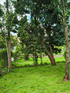 Prime 1-acre land and plots for sale in Riverside Drive, Nairob-Ladva Realtors (1)