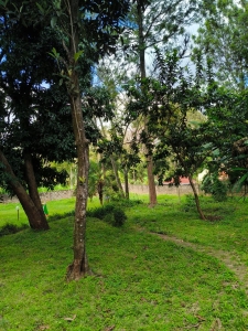 Prime 1-acre land and plots for sale in Riverside Drive, Nairob-Ladva Realtors (1)