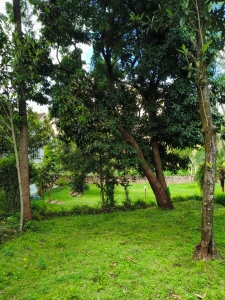 Prime 1-acre land and plots for sale in Riverside Drive, Nairob-Ladva Realtors (1)