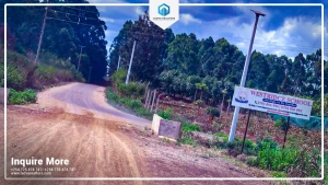 Land and Plots for Sale in Thika – Premium ¼-Acre Plots Next to Thika Greens Phase 3 at KSh 5,500,000