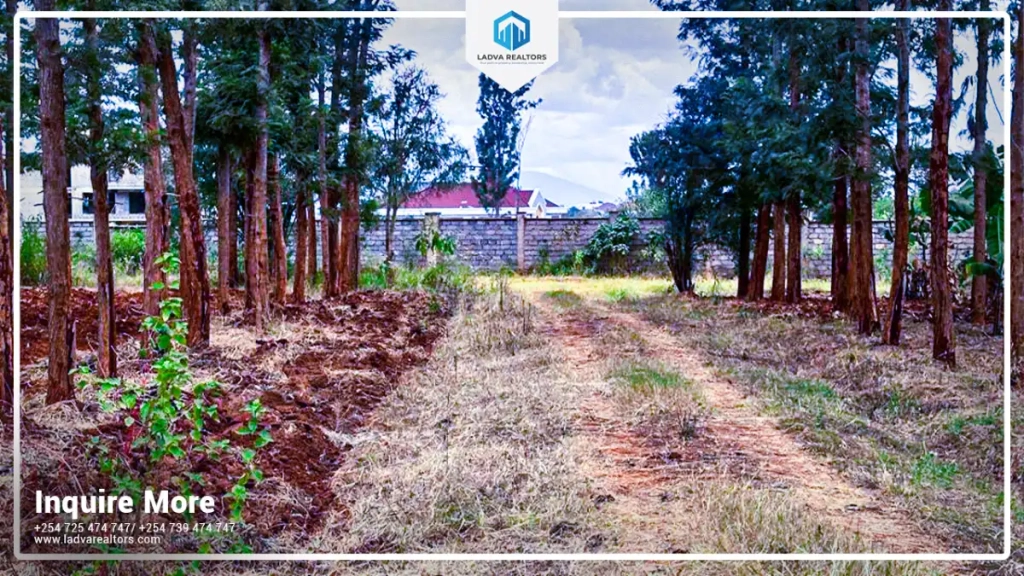Land and Plots for Sale in Thika – Premium ¼-Acre Plots Next to Thika Greens Phase 3 at KSh 5,500,000