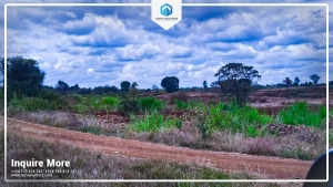 Land and Plots for Sale in Thika – Premium ¼-Acre Plots Next to Thika Greens Phase 3 at KSh 5,500,000