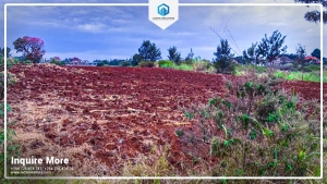 Land and Plots for Sale in Thika – Premium ¼-Acre Plots Next to Thika Greens Phase 3 at KSh 5,500,000