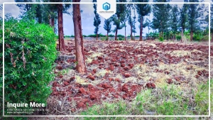 Land and Plots for Sale in Thika – Premium ¼-Acre Plots Next to Thika Greens Phase 3 at KSh 5,500,000