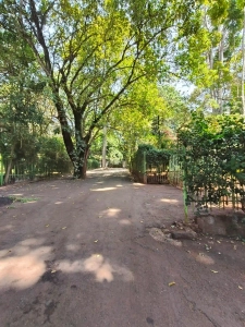 Luxury 5-Bedroom Villa for Rent in Rosslyn Estate, Nairobi